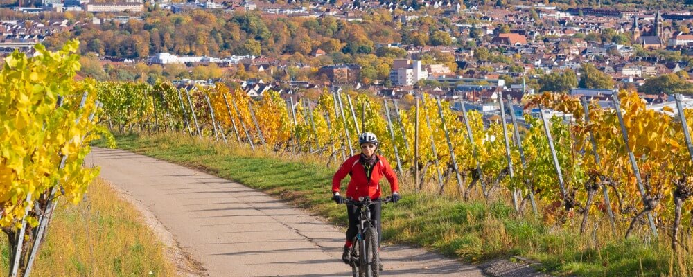Wer bietet ein Vollzeit Heilpraktiker mit med. Vorkenntnissen in Baden-Württemberg an?