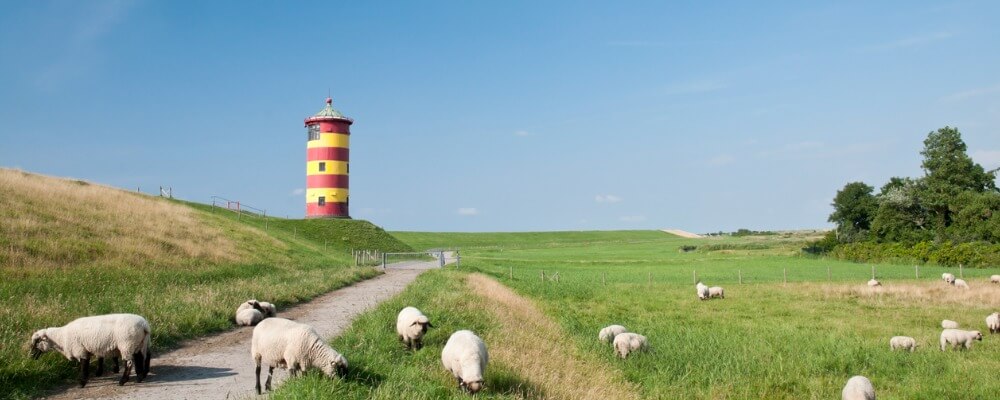 Wer bietet ein Fernlehrgang Heilpraktiker für Psychotherapie in Niedersachsen an?